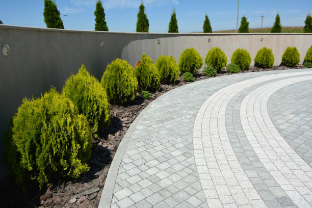 Reliable Willow, AK Driveway Pavers Solutions